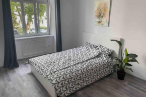Renovated Cosy Studio near Central Station